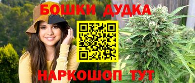 гидропоника Можайск