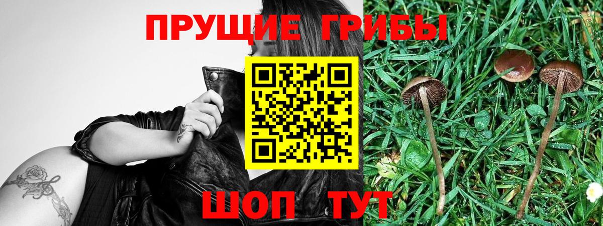 Галлюциногенные грибы прущие грибы Узловая