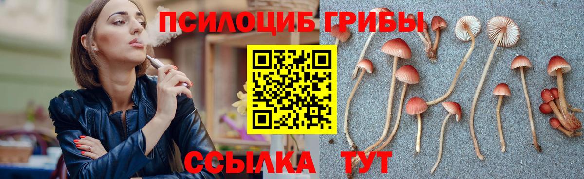 Псилоцибиновые грибы мухоморы  Вход с VPN  Галлюциногенные грибы GOLDEN TEACHER  Узловая 